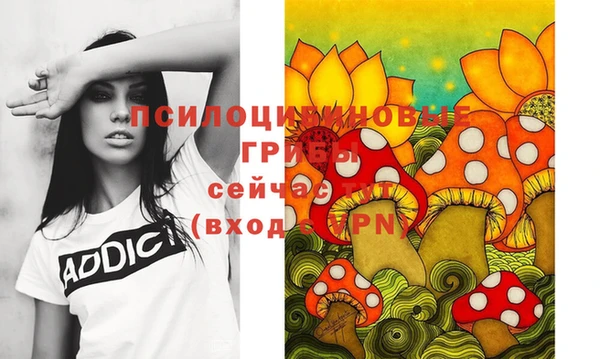 бутират Белокуриха
