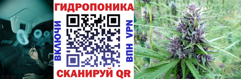 где купить   Сковородино  Бошки марихуана гибрид 